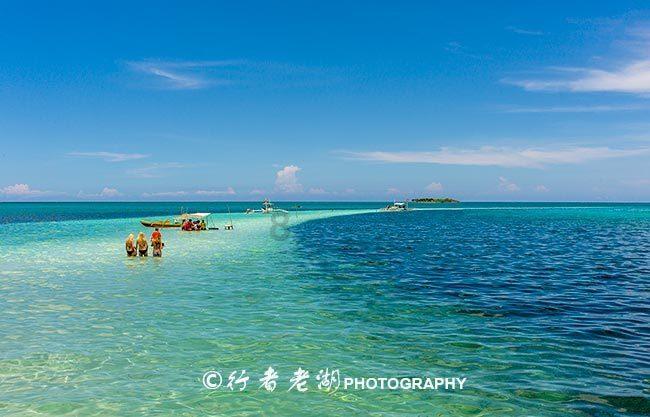迈克生物：血清淀粉样蛋白A测定试剂盒取得注册证书