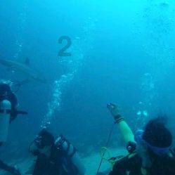 山东广播电视台超写实手语数字主持人！海蓝解锁新身份