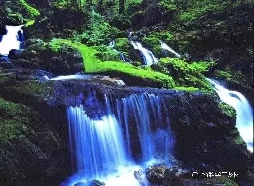 火拼萌萌消