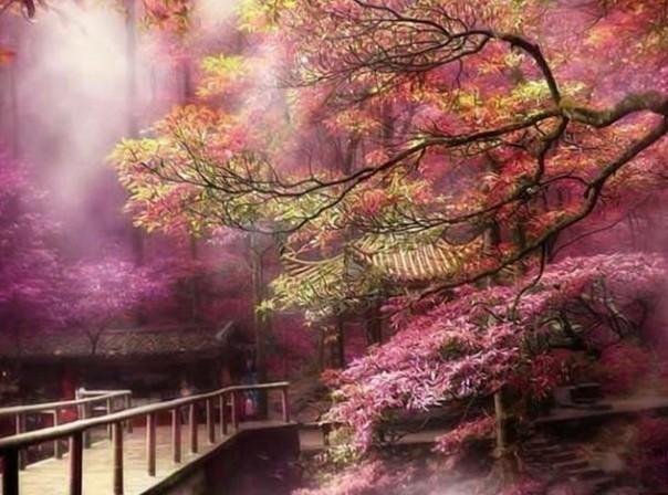 明初第一才子解缙，从皇帝宠臣到被活活冻死，中间经历了什么